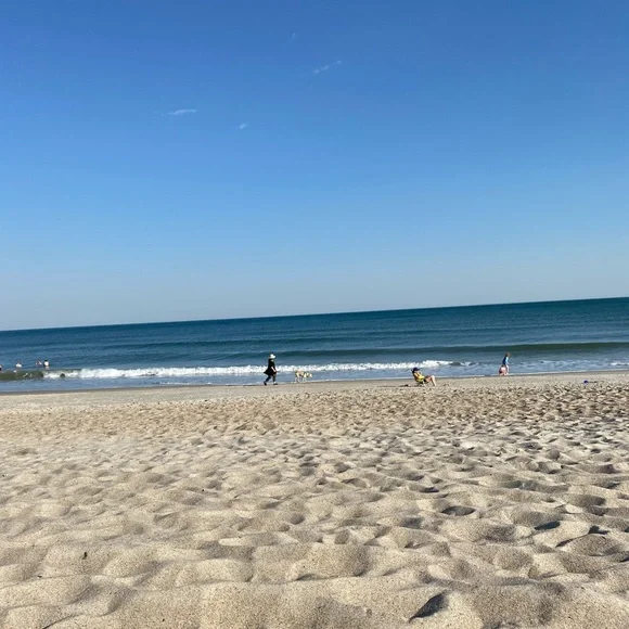 ✨ - Picture 6 of 16